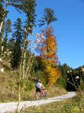 Barvy podzimu ve stoupání na Stuhlalm